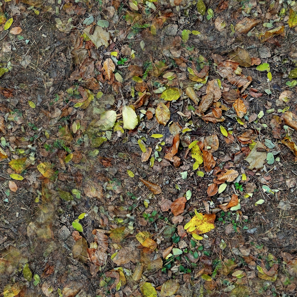 Forest Ground Textures - leaves 5.png | OpenGameArt.org